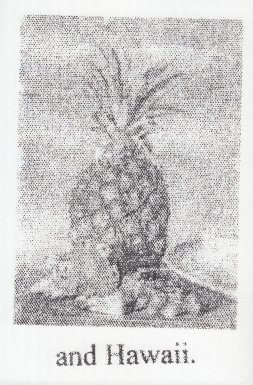 monochrome photograph of a pineapple above text that reads an hawaii printed on white paper