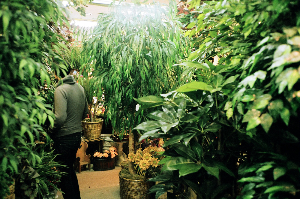 back of person wearing green standing in a thick display of fake plants