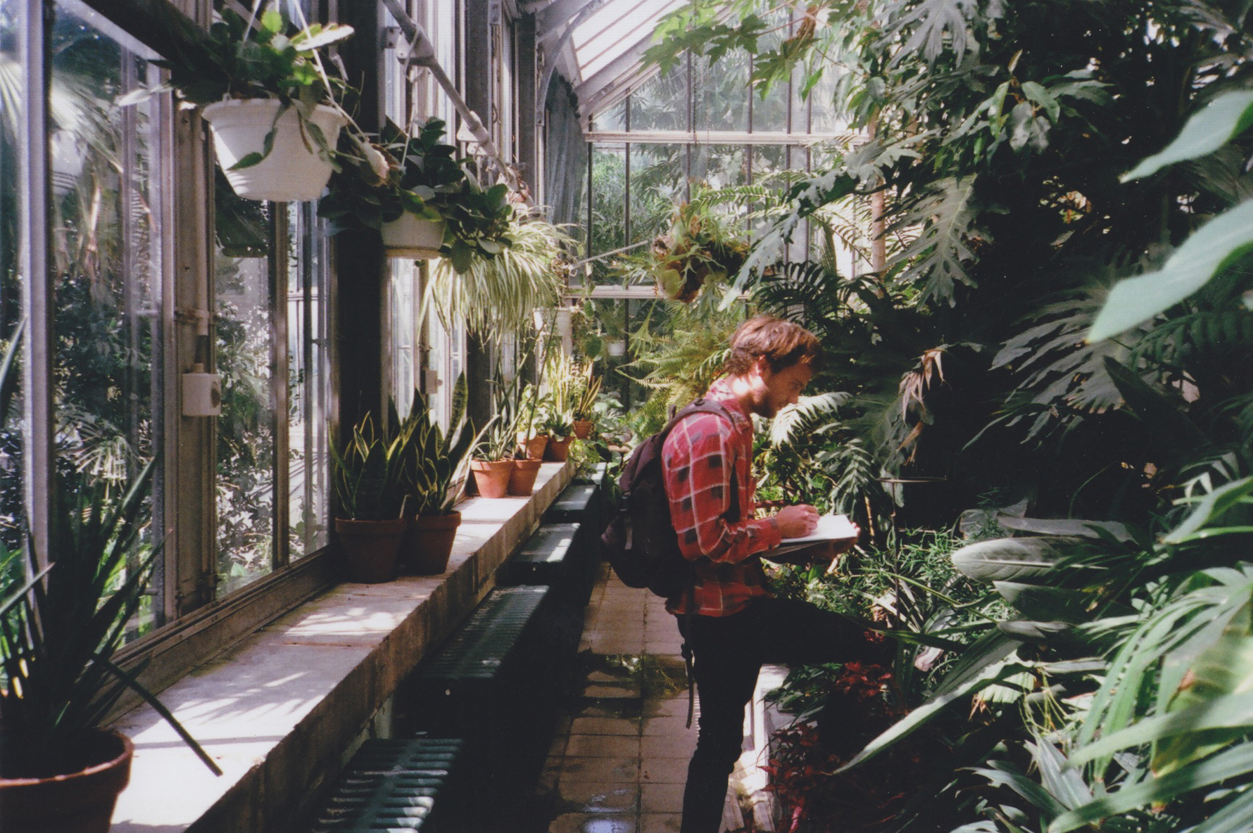 person sketching plants