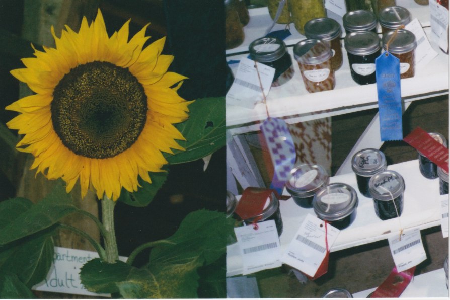 county fair jam and sunflower display