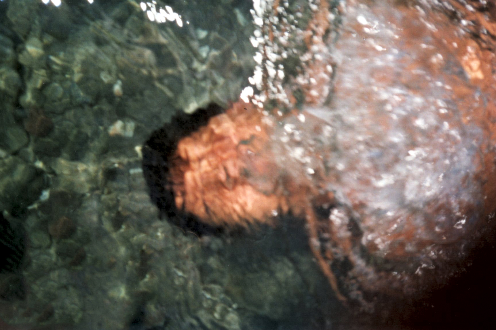 person swimming underwater