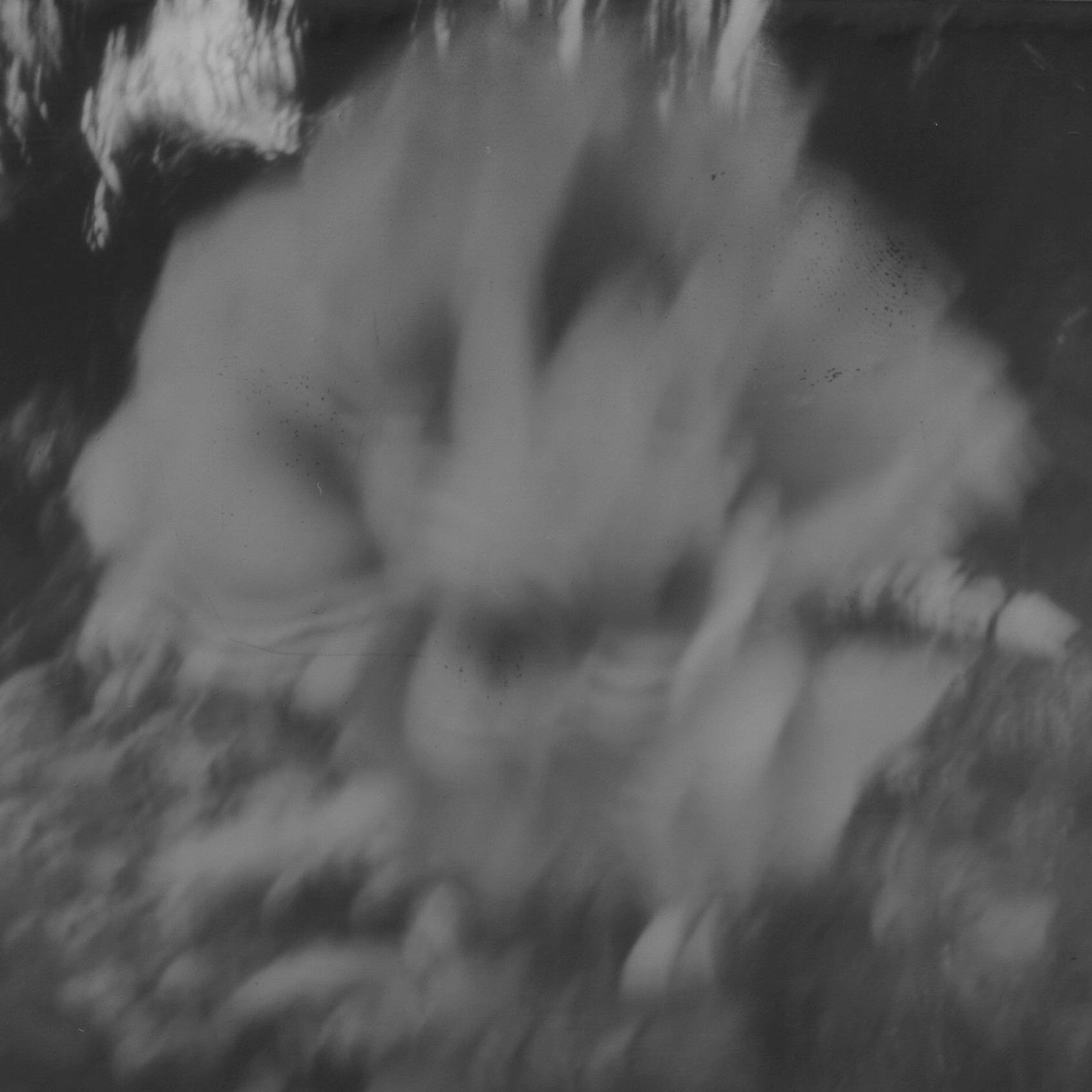 Upclose photo of a rose in black and white distorted by a homemade pinhole camera lens